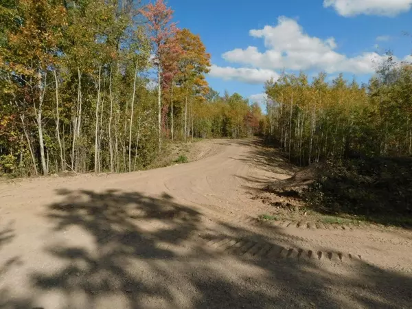 Lot 4 GRUNDY ROAD, Tomahawk, WI 54487