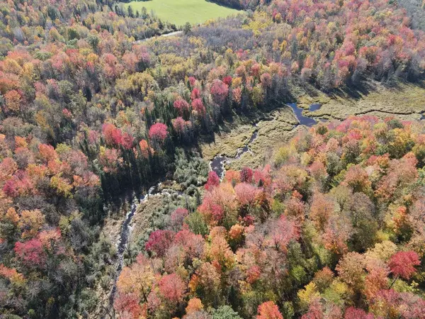 Ogema, WI 54459,80 Acres WILDWOOD AVENUE