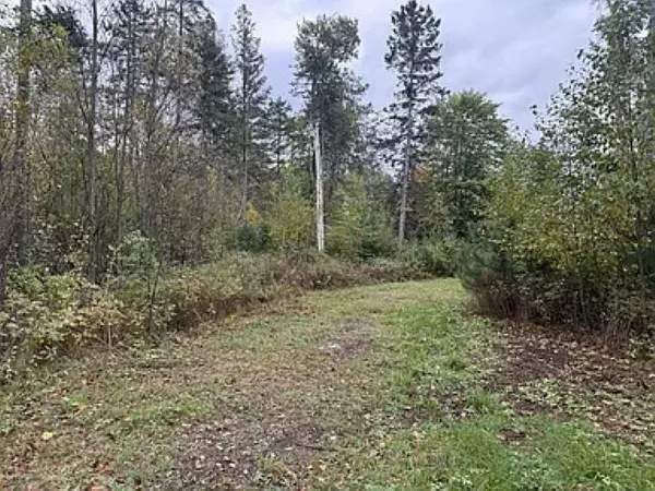 Tomahawk, WI 54487,3.01 Acres PINE SHORE LANE