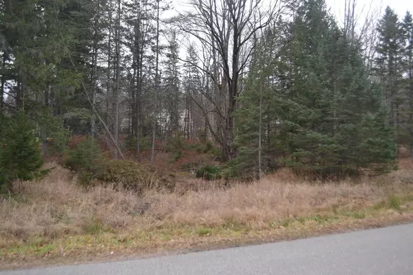 Wausau, WI 54401,Lot #24 DEER TAIL LANE