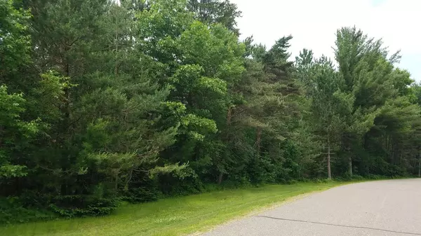 Tomahawk, WI 54487,ON HORSESHOE ROAD