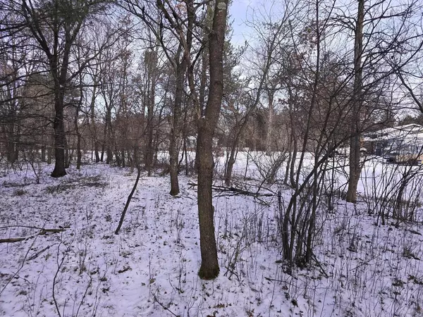 Wisconsin Rapids, WI 54494,45TH STREET SOUTH