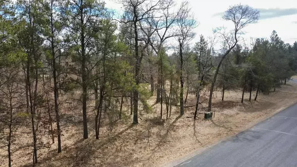 Nekoosa, WI 54457,262, 264, 266 15TH AVENUE