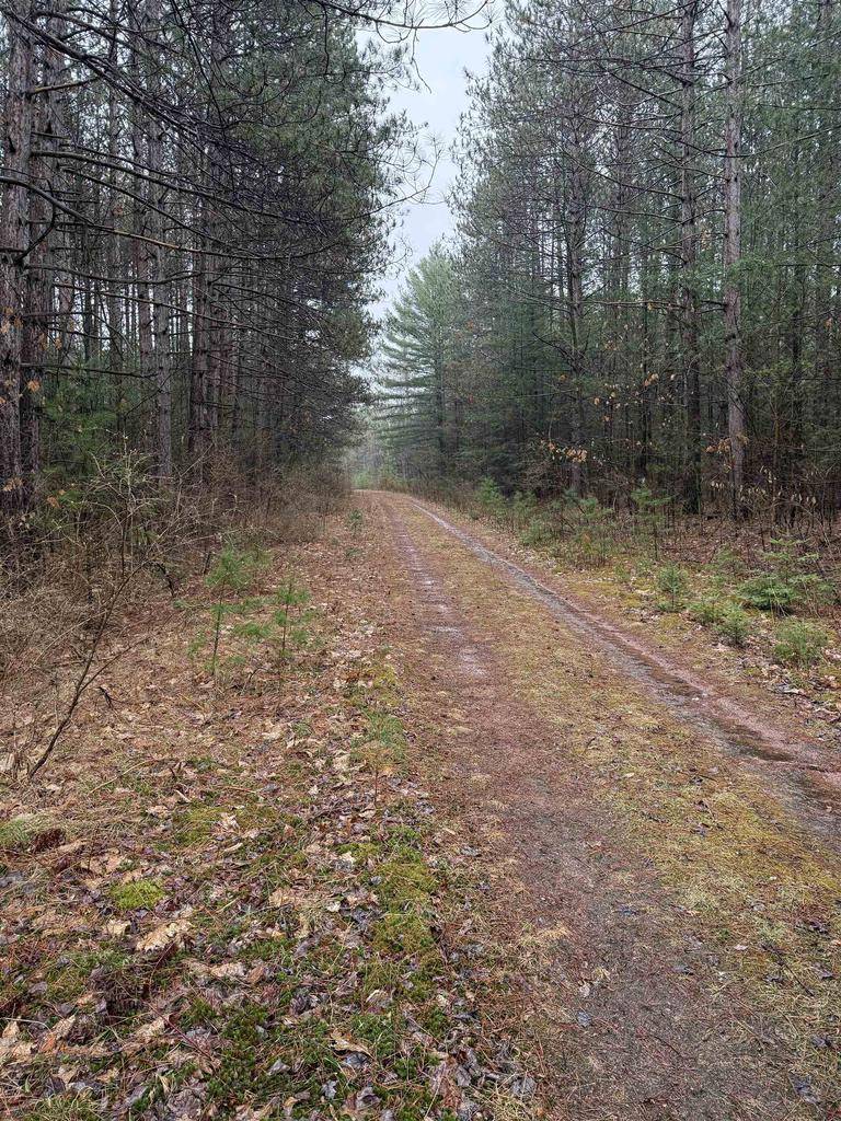 Merrill, WI 54452,Lot 4 N 12TH AVENUE