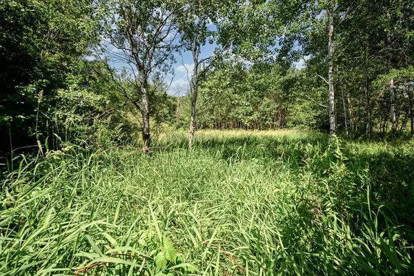 Iola, WI 54945,00 FISHER ROAD #Corner of Helgeson/F