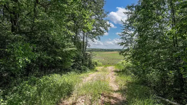 Iola, WI 54945,00 FISHER ROAD #Corner of Helgeson/F