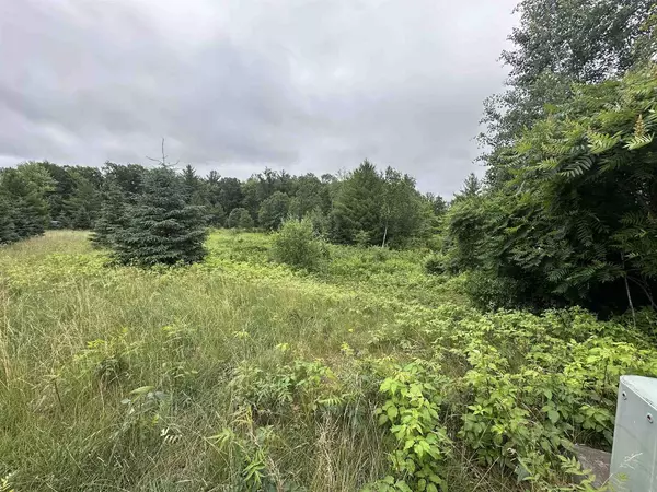 LOT 41 POINT TRAIL, Wisconsin Rapids, WI 54494