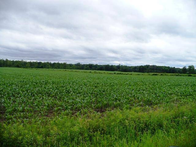Greenwood, WI 54437,Sec 32 CENTURY ROAD