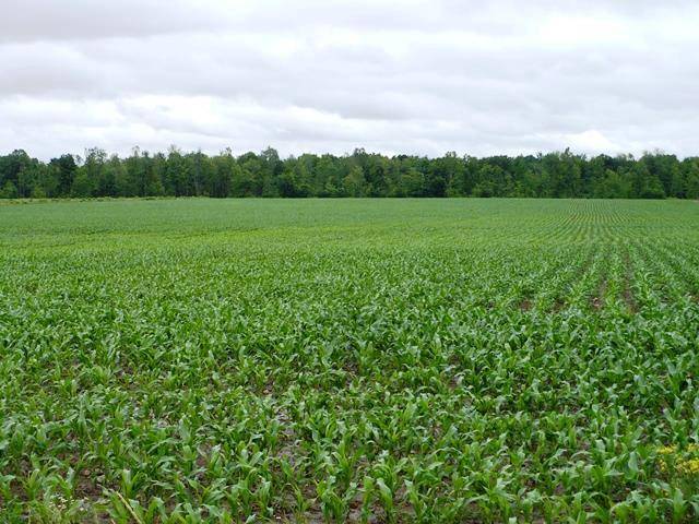 Sec 32 CENTURY ROAD, Greenwood, WI 54437