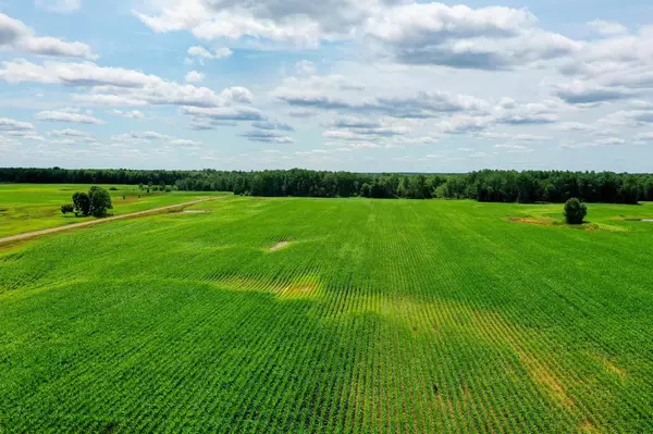 +/-196.61 Acres WIESE DRIVE, Rib Lake, WI 54470