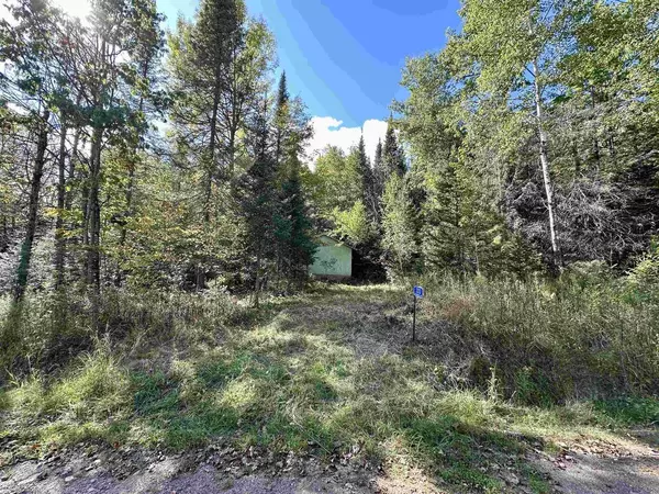 3313 JOHNSON ROAD, Crandon, WI 54520