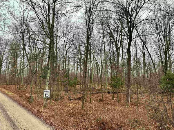 Lot 61 CHIP N DALE DRIVE, Pickerel, WI 54465