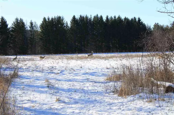 BLUEBERRY LANE, Waldo, WI 53093