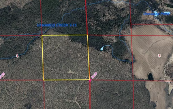 Wittenberg, WI 54499,MARQUARDT LANE