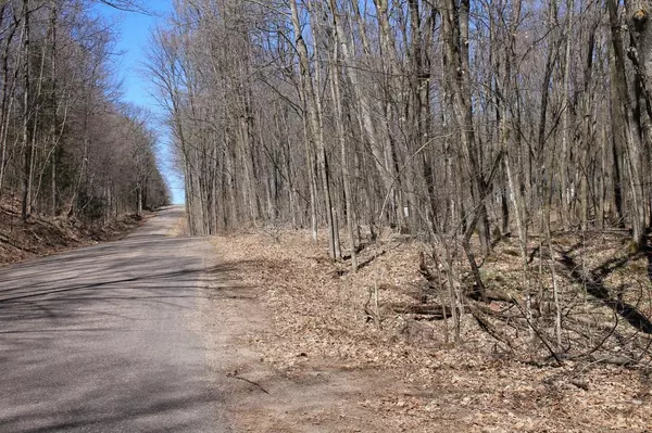 ELTON SOUTH ROAD, Elton, WI 54430