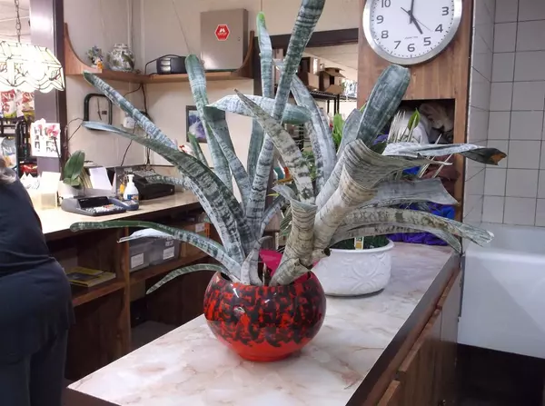 Oshkosh, WI 54901,1832 MINERVA STREET