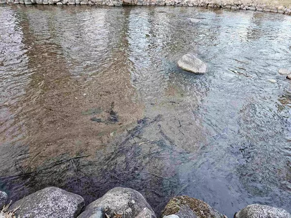 Waupaca, WI 54981,E1398 RURAL ROAD