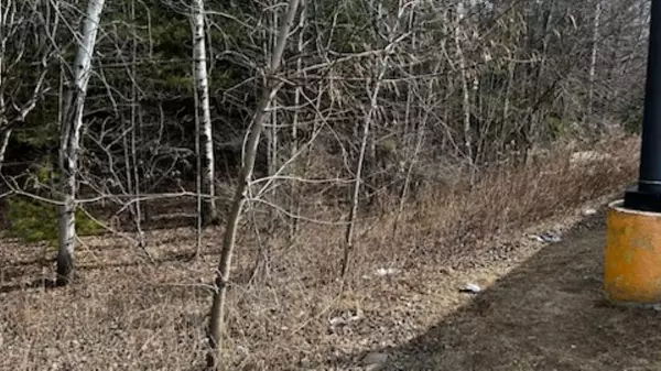 Shawano, WI 54166,E GREEN BAY STREET