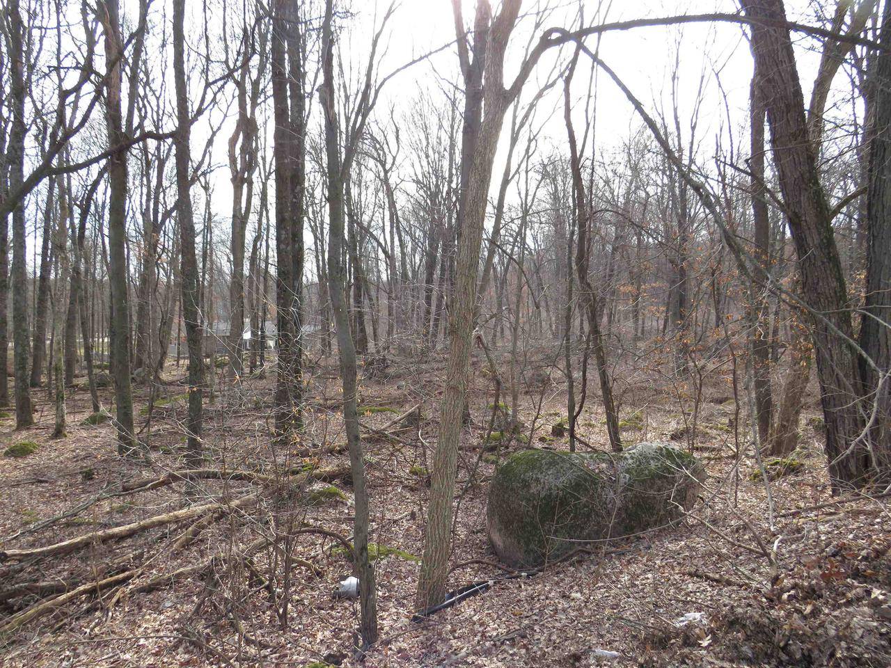 Waupaca, WI 54981,N4535 OAKLAND DRIVE
