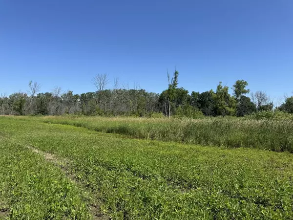 Winneconne, WI 54986,QUIGLEY ROAD