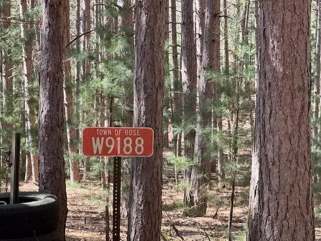 Wautoma, WI 54982,W9188 OLAF COURT