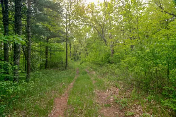 Coloma, WI 54930,W13541 BLACK OAK COURT