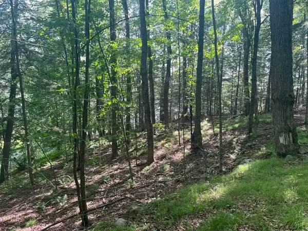 Townsend, WI 54175,17197 PATTI LANE