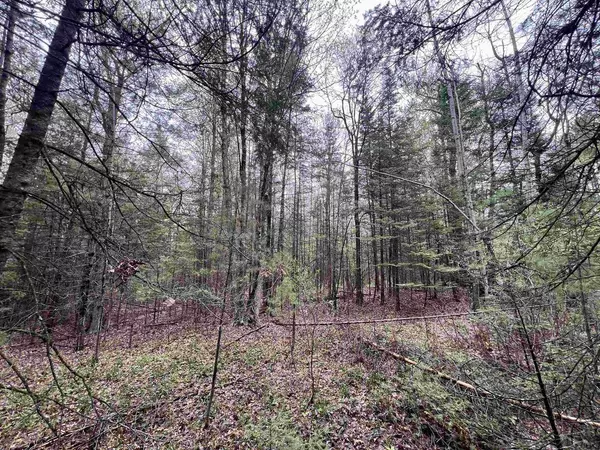 BRUETTE ROAD, Wausaukee, WI 54177