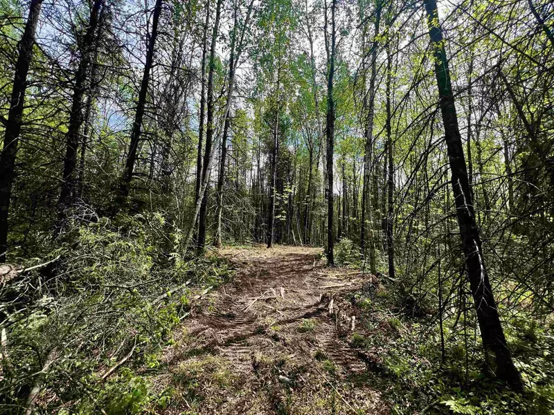 BERGESON LANE, Amberg, WI 54102