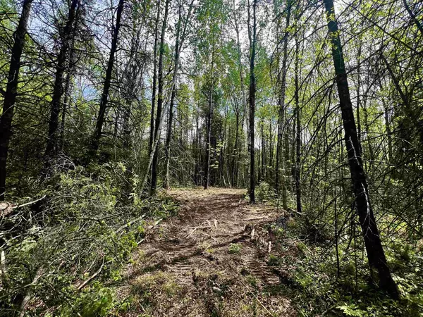 BERGESON LANE, Amberg, WI 54102