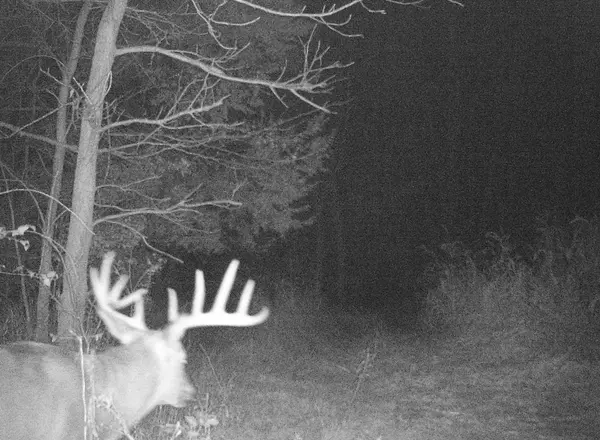 Bagley, WI 53801,KOECKE LANE