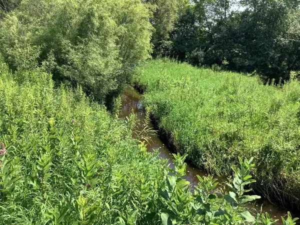 Manawa, WI 54949,SPRING CREEK ROAD