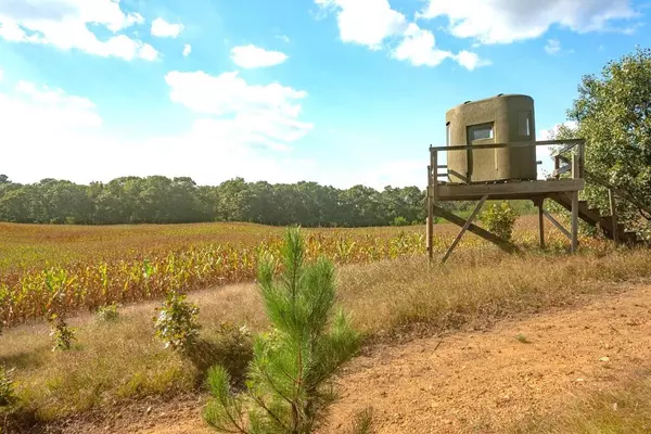 Coloma, WI 54930,COTTONVILLE AVENUE