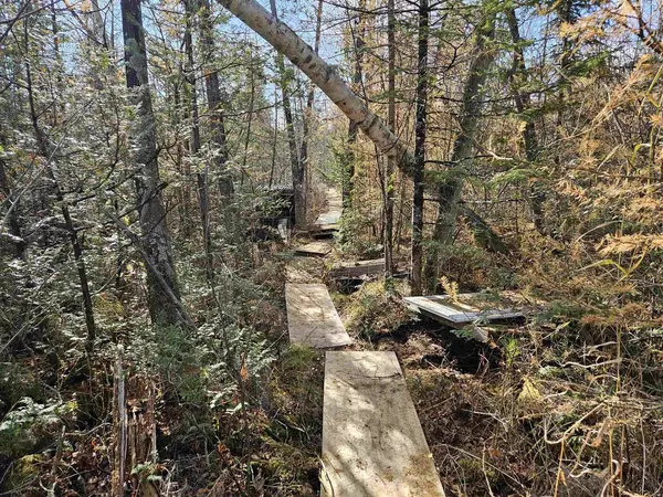 Wittenberg, WI 54486,HWY PP