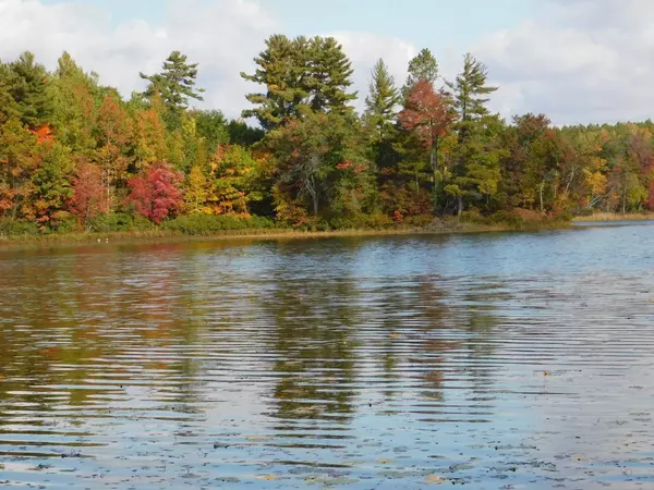 Suring, WI 54174,W606 JOE JOHNSON ROAD