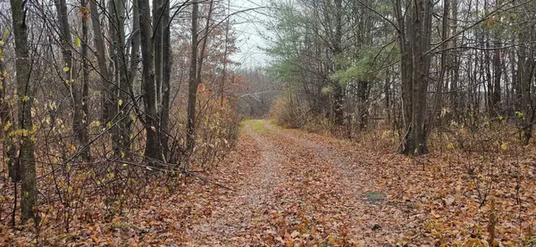 N COUNTY ROAD WW, Merrill, WI 54452