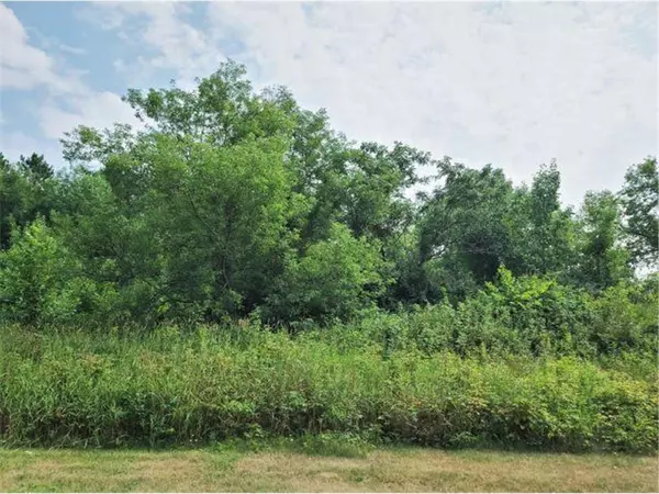 Luck, WI 54853,Lot 22 Wilderness Hills