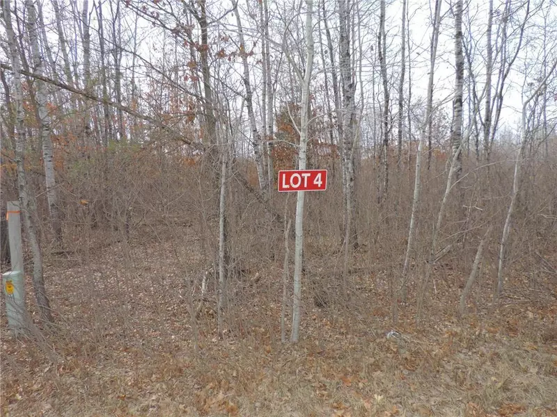 Lot 4 Minerva Dam Rd, Danbury, WI 54830