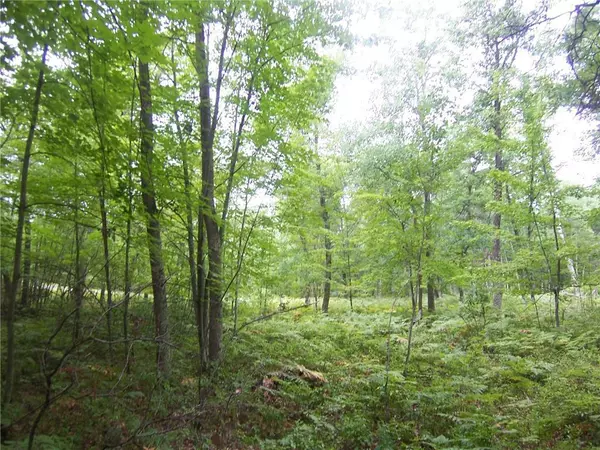 Danbury, WI 54830,Lot 45/46 Oaks Court