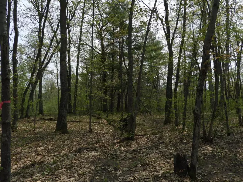672XX E Deep Lake Rd, Iron River, WI 54847
