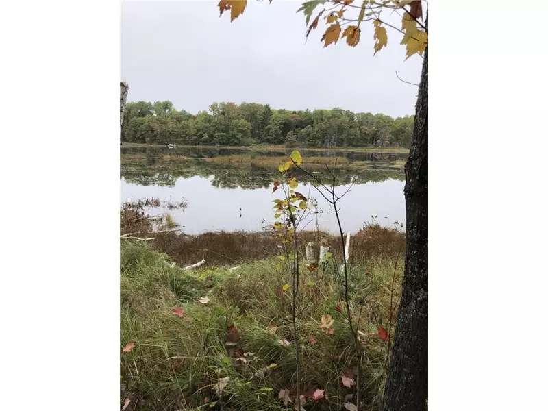 0 Brown Road, Danbury, WI 54830