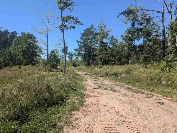 Lot 2 Peterson Hill Rd, Bayfield, WI 54814