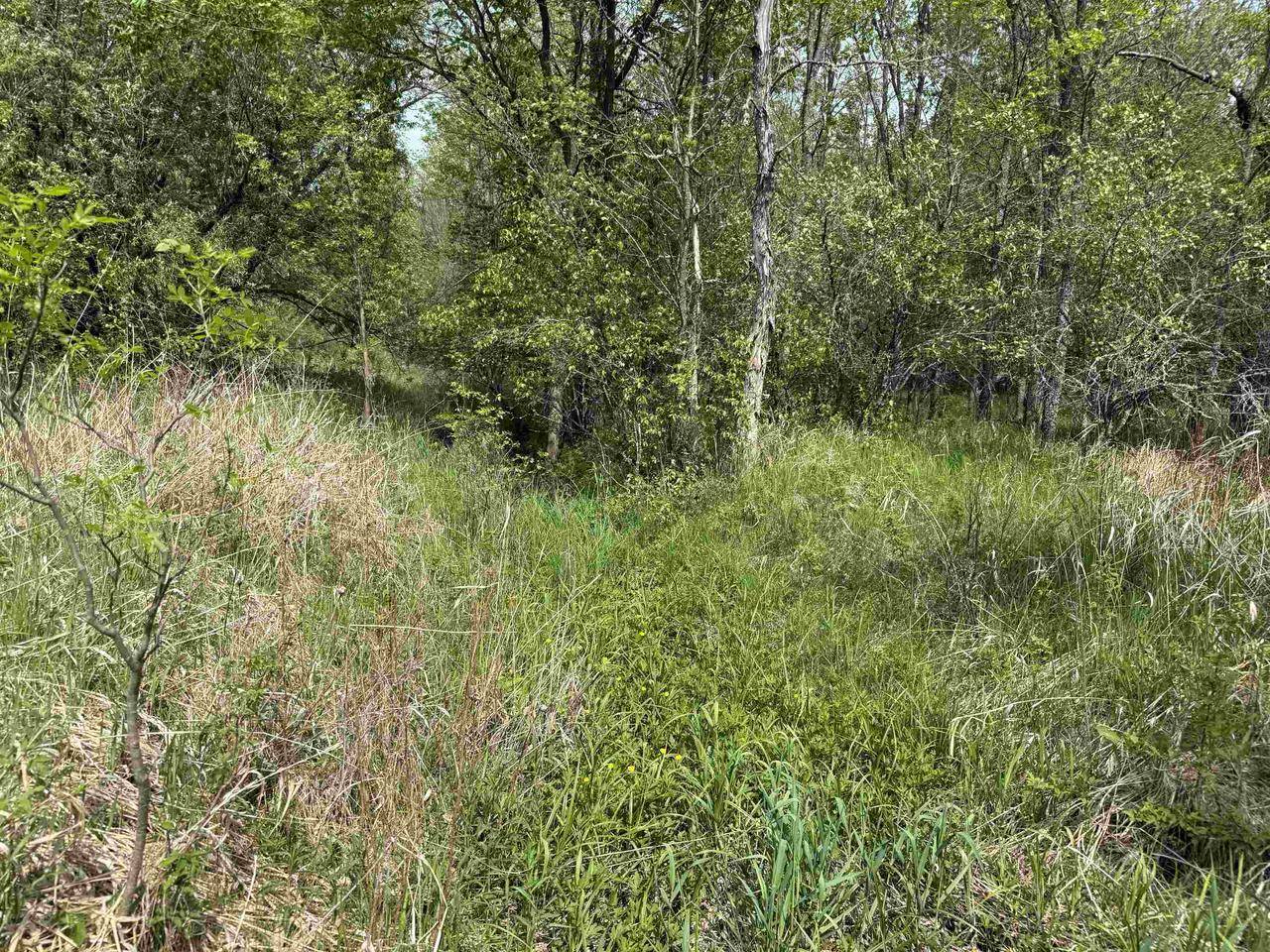 Port Wing, WI 54865,xxx Hautala Rd