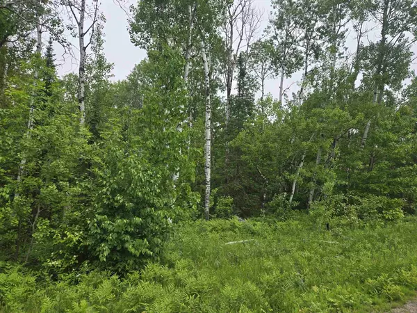 6559 E County Rd C, South Range, WI 54874