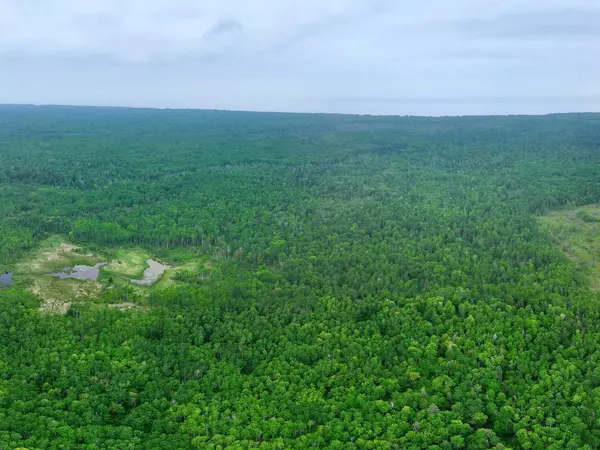 80 Acres Near Tar Paper Alley, Port Wing, WI 54820