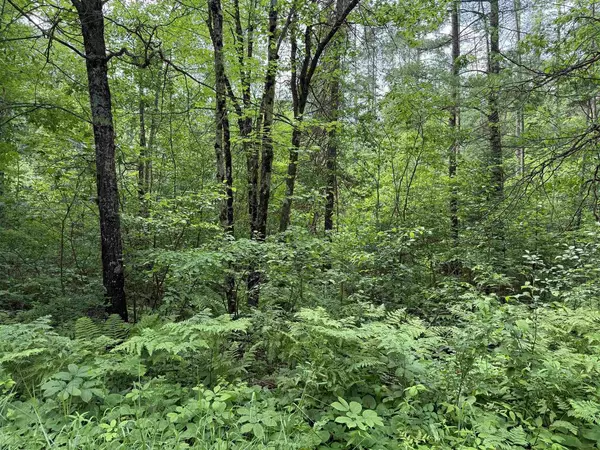 Minocqua, WI 54548,0000 Pokegama Dr