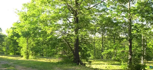 Bayfield, WI 54814,83xxx Ashwabay Heights Rd