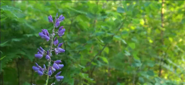 83xxx Ashwabay Heights Rd, Bayfield, WI 54814