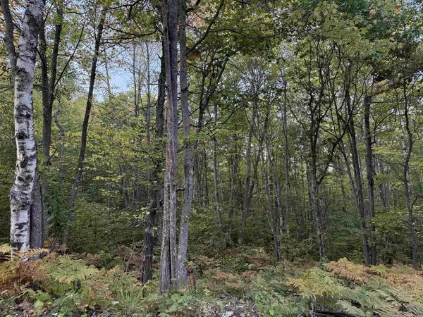 000 Old Hwy 2, Iron River, WI 54847