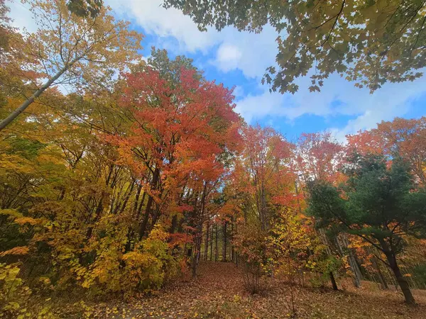 Bayfield, WI 54814,11xxx Old Military Rd